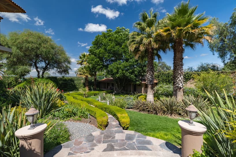 Casa las Palmas, San Miguel de Allende imagen 15