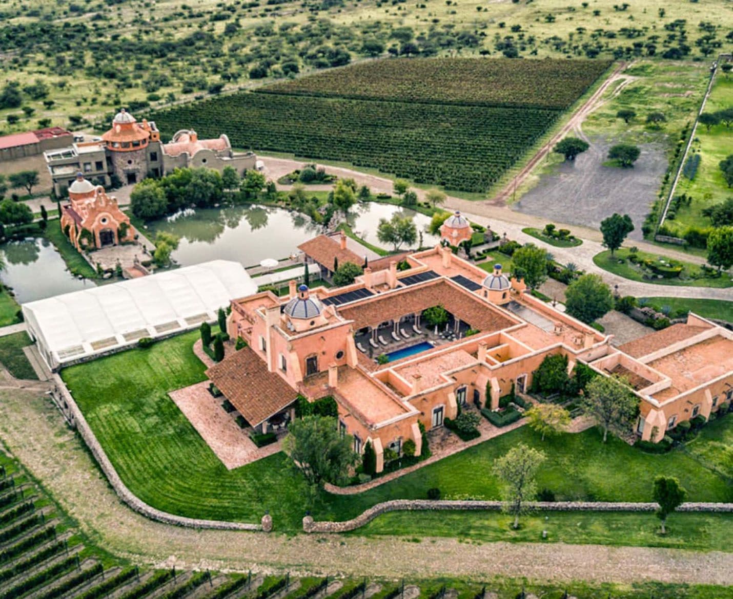 VISITA BODEGA Y VIÑEDO & CATA CON APERITIVO