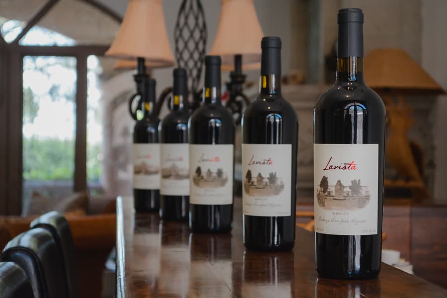 Casa las Palmas, San Miguel de Allende imagen 22