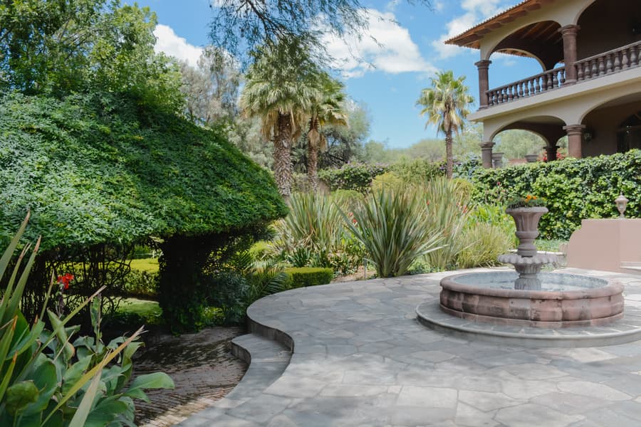 Casa las Palmas, San Miguel de Allende imagen 16